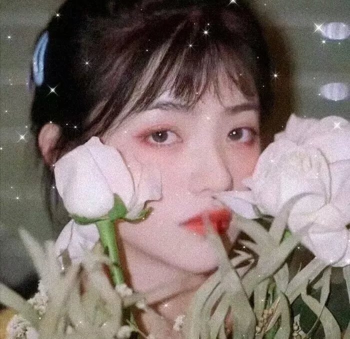 独活女子的推荐第二季